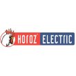 Horoz Electric