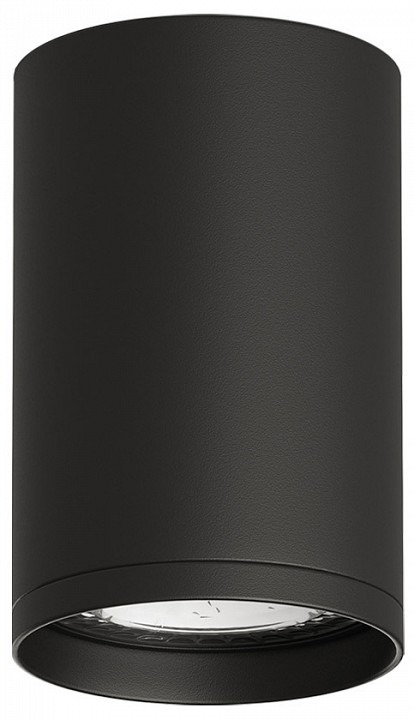 Фото Накладной светильник Denkirs DK2000 DK2050-BK DK_DK2050-BK - интернет-магазин МегаТерем в Москве