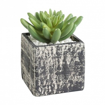 Растение в горшке Eglo Chit...