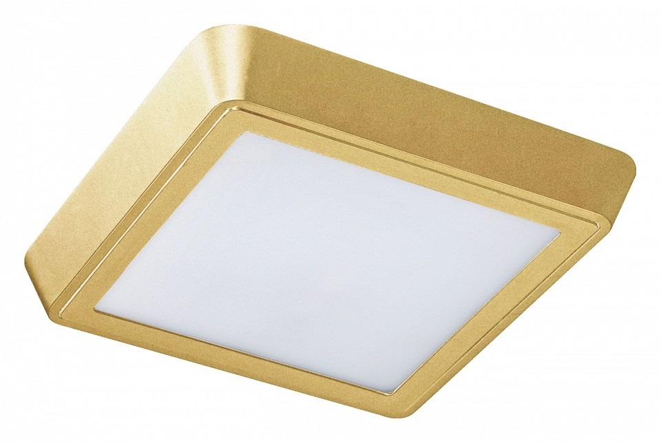 Фото Накладной светильник Lightstar Urbano 216834 LS_216834 - интернет-магазин МегаТерем в Москве