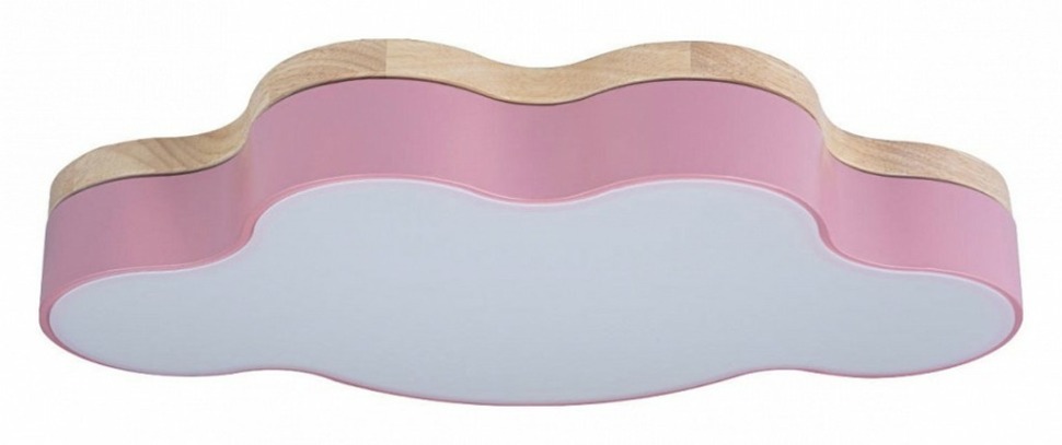 Фото Накладной светильник Loft it Axel 4 10005/30 Pink LF_10005_30_Pink - интернет-магазин МегаТерем в Москве