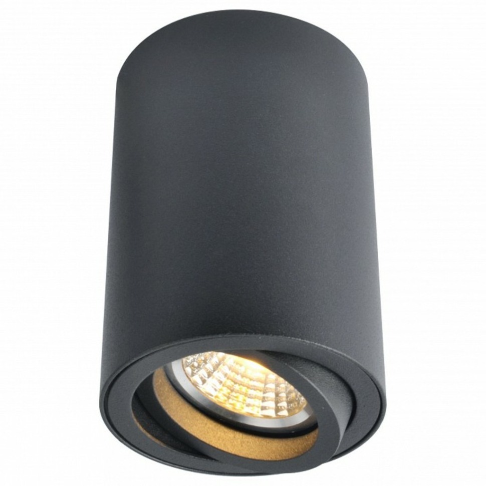 Фото Накладной светильник Arte Lamp Sentry A1560PL-1BK AR_A1560PL-1BK - интернет-магазин МегаТерем в Москве