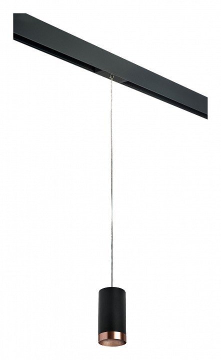 Фото Подвесной светильник Lightstar Rullo PRORP437430 LS_PRORP437430 - интернет-магазин МегаТерем в Москве