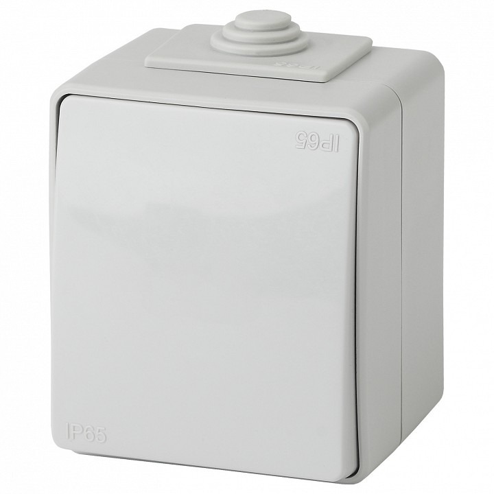 Фото Выключатель одноклавишный Эра Эра Эксперт 11-1601-03 ER_B0035972 - интернет-магазин МегаТерем в Москве