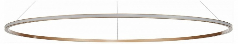 Фото Подвесной светильник ST-Luce ST604 OUT ST604.243.57 - интернет-магазин МегаТерем в Москве