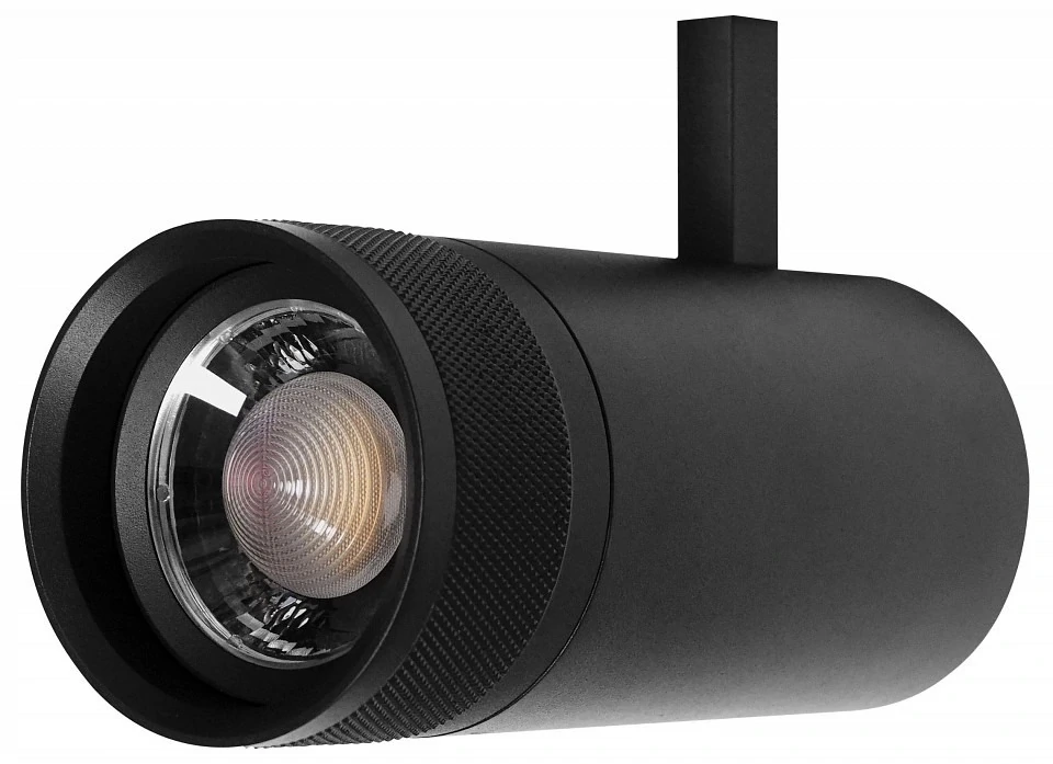 Фото Светильник на штанге Lightstar Canno Pro 304307 LS_304307 - интернет-магазин МегаТерем в Москве