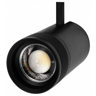 Светильник на штанге Lightstar Canno Pro 304407 LS_304407