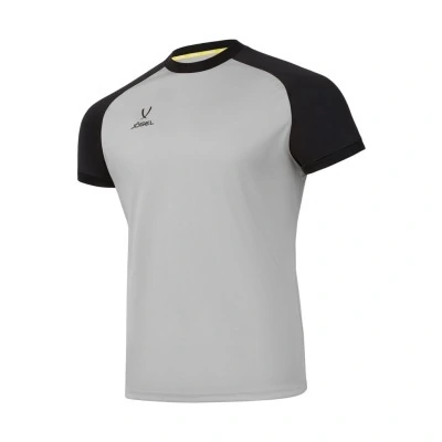 Футболка игровая JOGEL CAMP Reglan Jersey, серый (2120690)