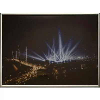 Картина Владивостокские мос...