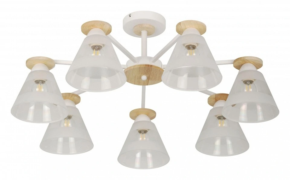 Фото Потолочная люстра Rivoli Theothila Б0068395 RVL_B0068395 - интернет-магазин МегаТерем в Москве