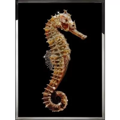 Картина Морской конёк с кристаллами Swarovski (2371)