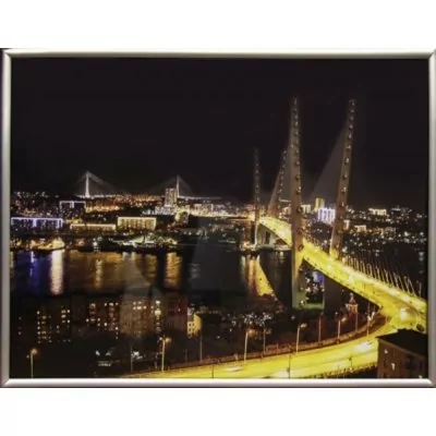 Картина Владивостокские мос...