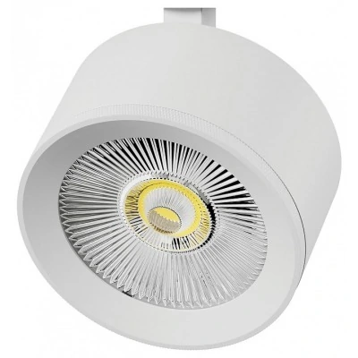 Плафон металлический Lightstar Alta Pro 215546 LS_215546