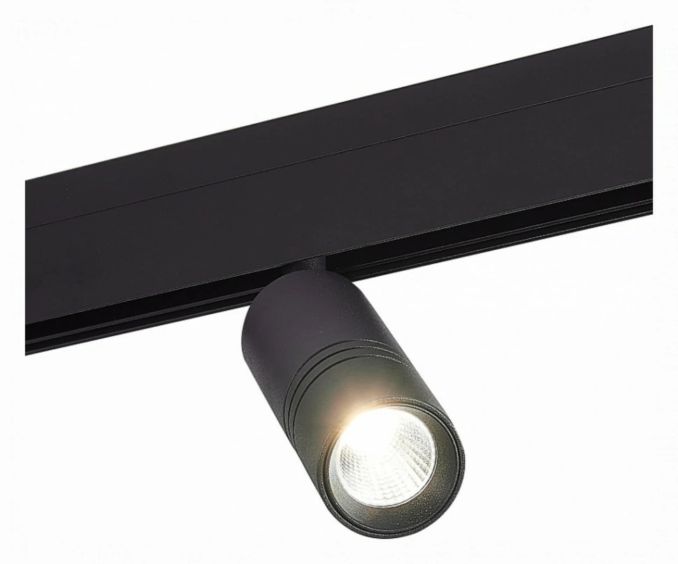 Фото Светильник на штанге ST-Luce Lemmi ST365.446.12 - интернет-магазин МегаТерем в Москве