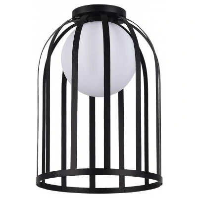 Накладной светильник ST-Luce Nordic SL6129.402.01