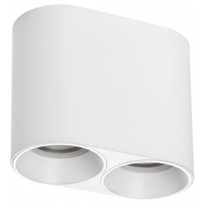 Накладной светильник Lightstar Rullo 213466 LS_213466