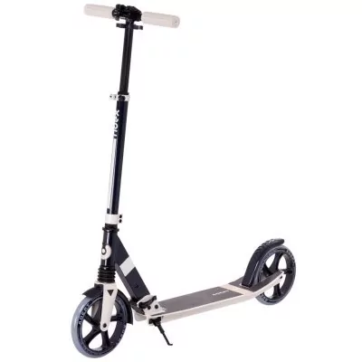 Самокат 2-колесный Adept 20...