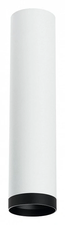 Фото Накладной светильник Lightstar Rullo R4963437 LS_R4963437 - интернет-магазин МегаТерем в Москве