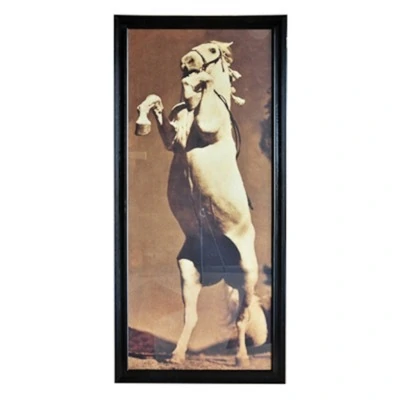 Картина Лошадь Стенли TO-AI...