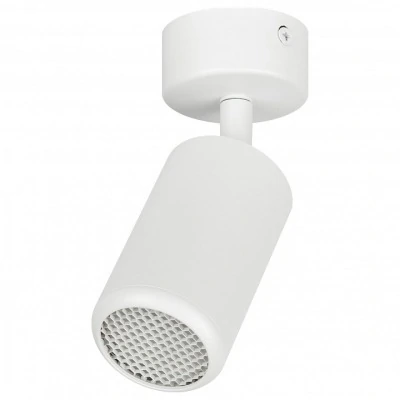 Спот Эра OL55 WH ER_B0061883