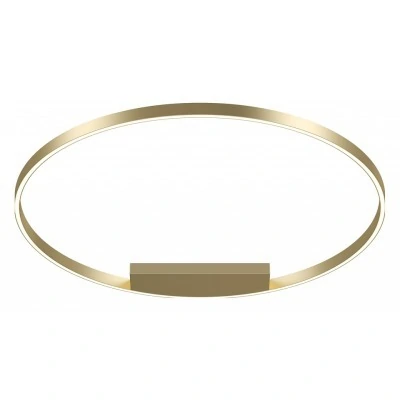 Накладной светильник Maytoni Halo MOD058CL-L65BSK MY_MOD058CL-L65BSK