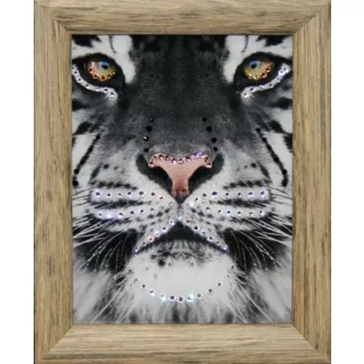 Картина Желтые глаза с кристаллами Swarovski (1585)