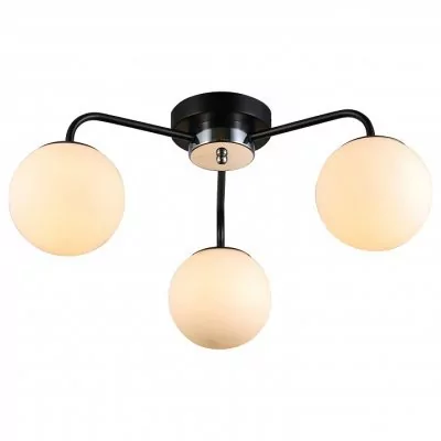 Потолочная люстра Rivoli Florentina Б0053433 RVL_B0053433