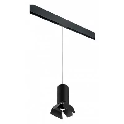 Подвесной светильник Lightstar Rullo PRORP6487487 LS_PRORP6487487