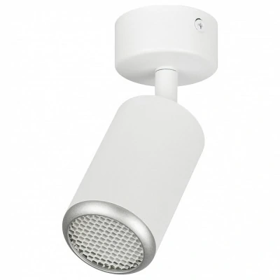 Спот Эра OL55 WH/SL ER_B00...