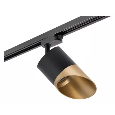 Светильник на штанге Lightstar Rullo R1T3487190 LS_R1T3487190