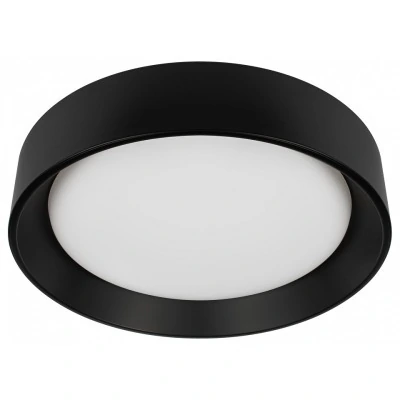 Накладной светильник Loft it Coin 10202 BB LF_10202_BB