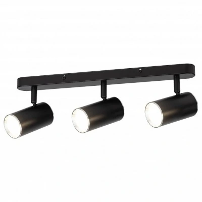 Спот Эра OL35-3 BK ER_B005...