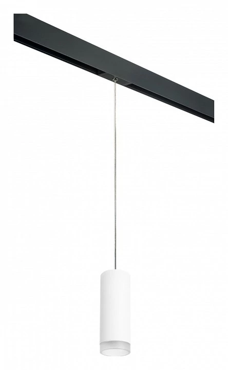 Фото Подвесной светильник Lightstar Rullo PRORP48630 LS_PRORP48630 - интернет-магазин МегаТерем в Москве