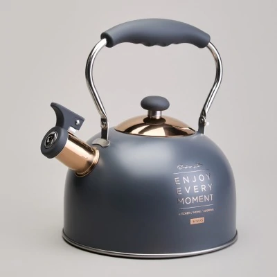 Чайник agness со свистком 2,5 л,нжс индукция (914-161) 