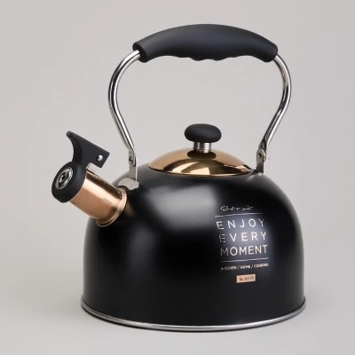 Чайник agness со свистком 2,5 л,нжс индукция (914-162) 