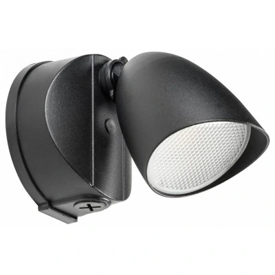 Светильник на штанге Lightstar Diva 374147 LS_374147