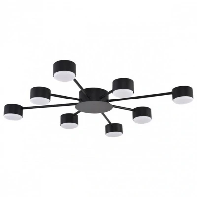 Потолочная люстра Lumion TO...