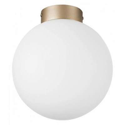 Накладной светильник Lightstar Globo 812023 LS_812023