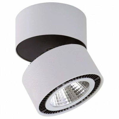 Накладной светильник Lightstar Forte Muro 214830 LS_214830