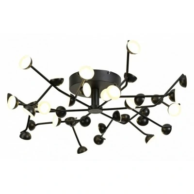 Накладной светильник Mantra...