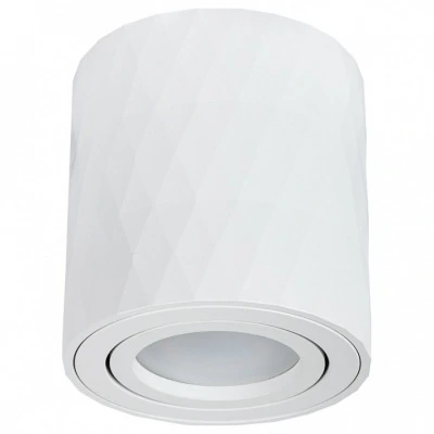 Накладной светильник Arte Lamp Fang A5559PL-1WH AR_A5559PL-1WH