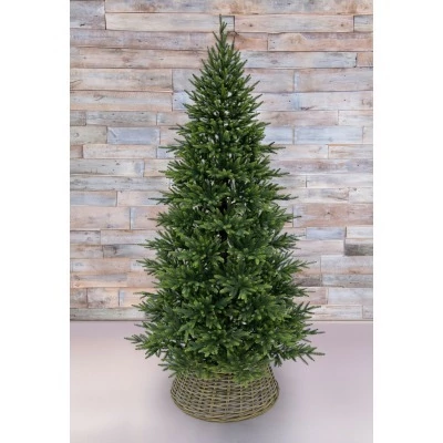 Триумф ель королевская стр...