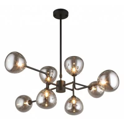 Люстра на штанге Aployt Ros...