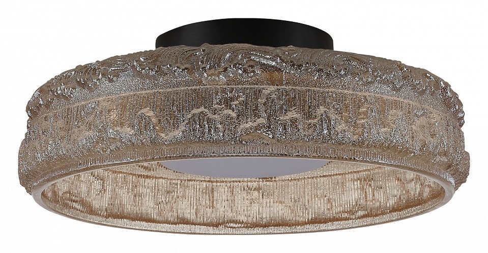 Фото Накладной светильник ST-Luce ANTIKE SL6143.422.01 - интернет-магазин МегаТерем в Москве