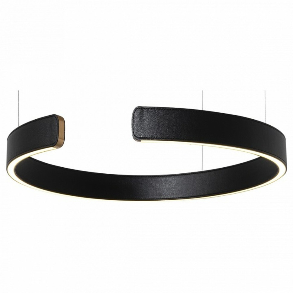 Фото Подвесной светильник Loft it Ring 10025/400 Black LF_10025_400_Black - интернет-магазин МегаТерем в Москве