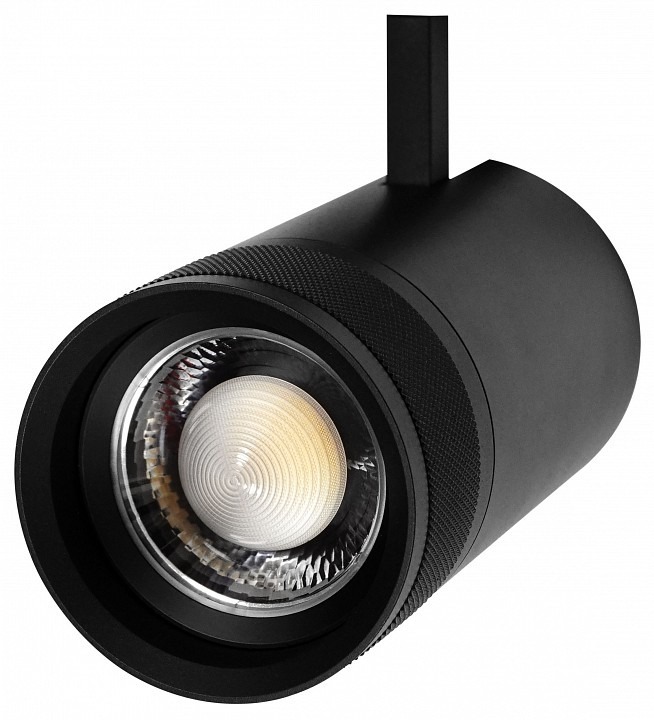 Фото Светильник на штанге Lightstar Canno Pro 304407 LS_304407 - интернет-магазин МегаТерем в Москве