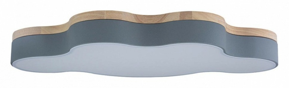 Фото Накладной светильник Loft it Axel 4 10005/36 Grey LF_10005_36_Grey - интернет-магазин МегаТерем в Москве