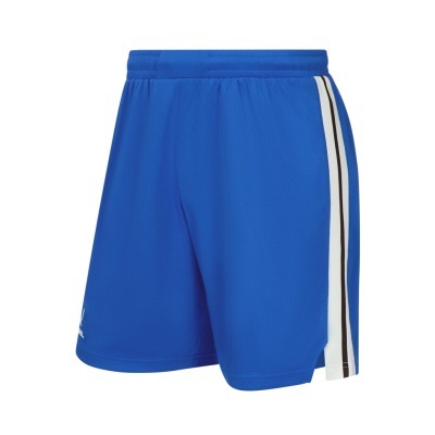 Шорты баскетбольные JÖGEL D...