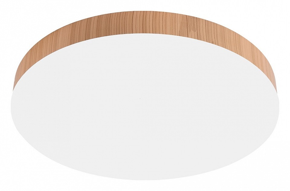 Фото Накладной светильник Feron AL1600 51111 FE_51111 - интернет-магазин МегаТерем в Москве