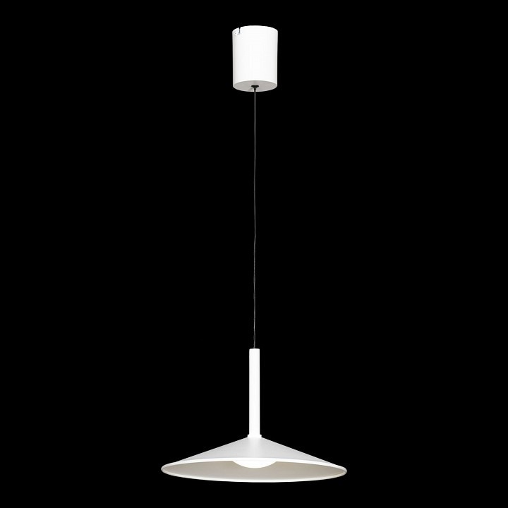 Фото Подвесной светильник Lussole REFUGIO LSP-7432 - интернет-магазин МегаТерем в Москве